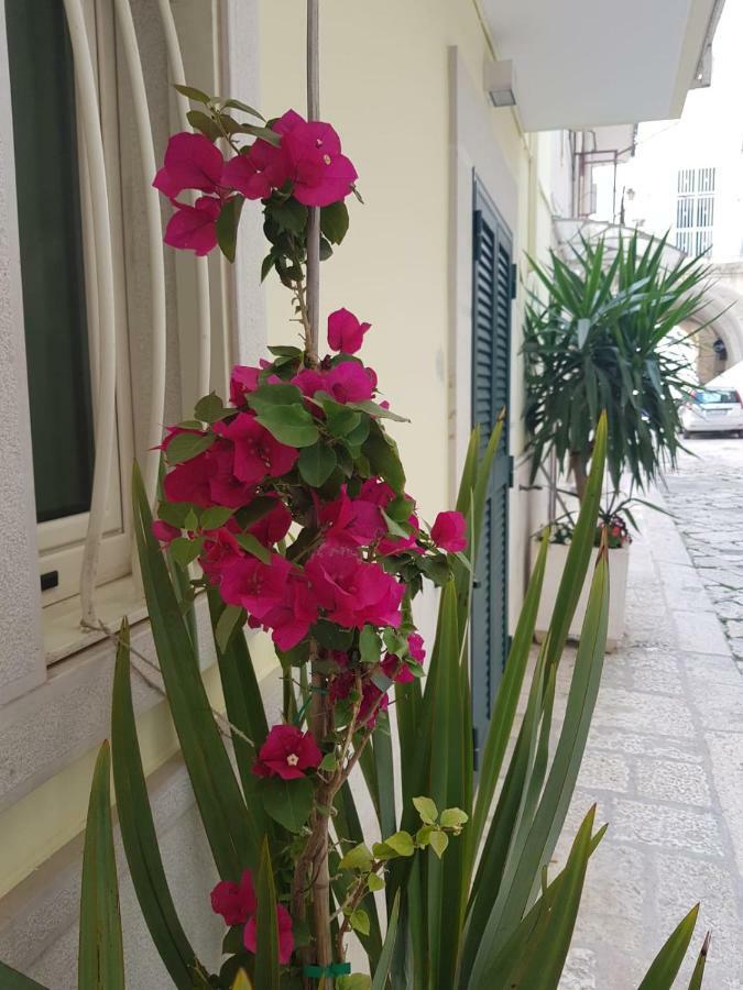 Arco Gentile Bed and Breakfast Bitonto Eksteriør billede